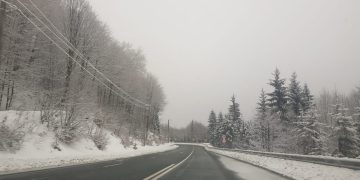 Atenție șoferi! În unele zone se semnalează ceață, asociată cu chiciură care favorizează formarea poleiului