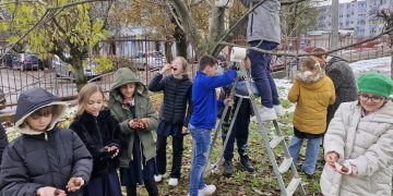 Elevii Școlii Gimnaziale Nr. 18 Baia Mare, grijă și respect față de păsări