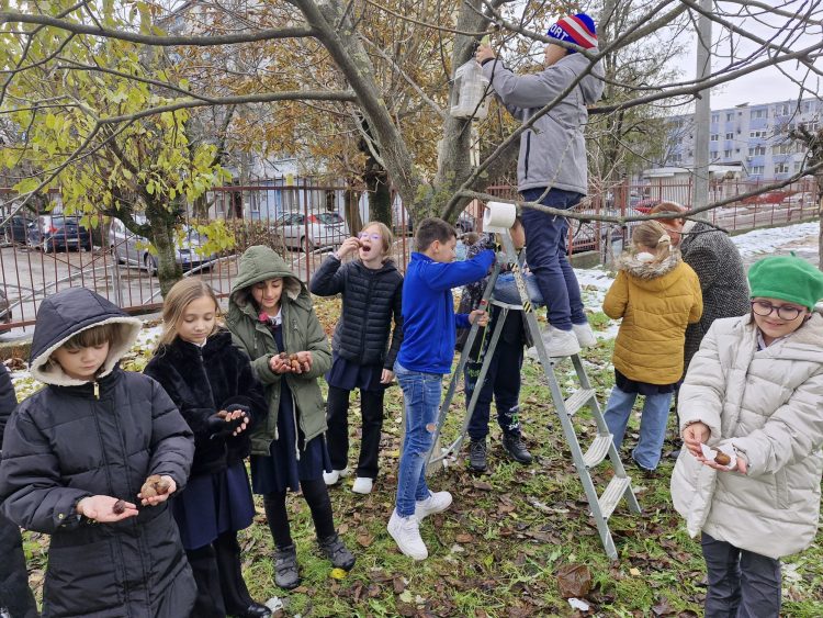 Elevii Școlii Gimnaziale Nr. 18 Baia Mare, grijă și respect față de păsări