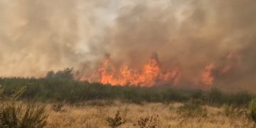Incendiu de vegetație în Coltău! Peste 20 de hectare sunt afectate