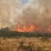 Incendiu de vegetație în Coltău! Peste 20 de hectare sunt afectate