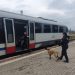 Acțiune desfășurată de Polițiștii Biroului Judeţean de Poliţie Transporturi Maramureş