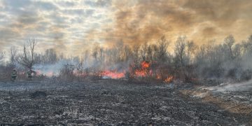 Crește numărul incendiilor de vegetație uscată în Maramureș. Pompierii trag un nou semnal de alarmă