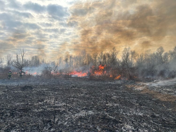 Crește numărul incendiilor de vegetație uscată în Maramureș. Pompierii trag un nou semnal de alarmă