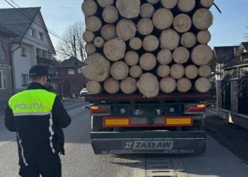 Peste 80 de controale efectuate de poliţiştii maramureșeni pe linie silvică în câteva zile