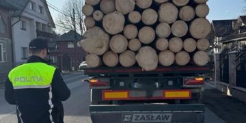 Peste 80 de controale efectuate de poliţiştii maramureșeni pe linie silvică în câteva zile