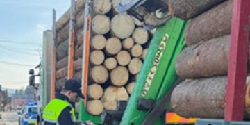 Peste 80 de controale efectuate de poliţiştii maramureșeni pe linie silvică în câteva zile