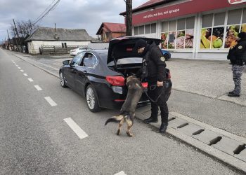 Peste 800 de testări pentru depistarea consumului de alcool sau a altor substanțe la volan