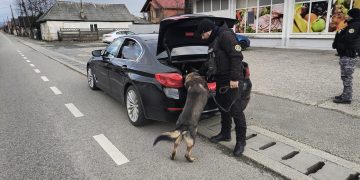 Filtre rutiere organizate de poliţiştii din Baia Sprie
