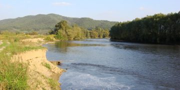 Verificări pe malurile Someșului la Gârdani, Fărcașa și Tămaia pentru protejarea biodiversității acvatice