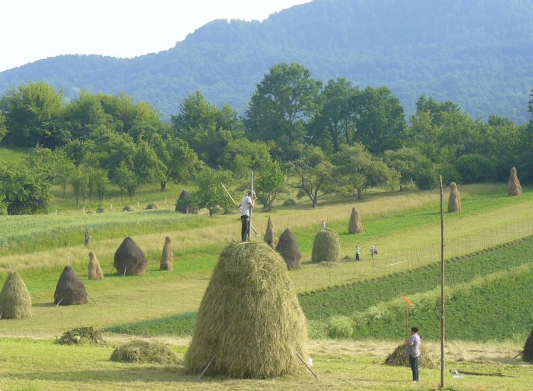 12 motive pentru a vizita Maramureșul