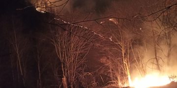 Incendiu devastator pe Șerpoaia, Suciu de Sus! Ocolul Silvic Groșii Țibleșului, în alertă