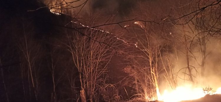 Incendiu devastator pe Șerpoaia, Suciu de Sus! Ocolul Silvic Groșii Țibleșului, în alertă