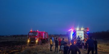 Incendiu de vegetație în Șomcuta Mare: Pompierii intervin pentru stingerea focului