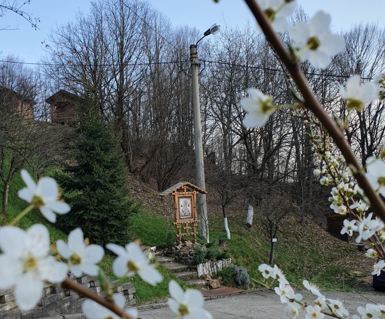 Calea Crucii organizată de Parohia romano-catolică „Sfânta Treime” din Baia Mare în sâmbăta dinaintea Floriilor