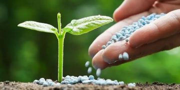 Controale pe linia substanţelor şi produselor pentru protecţia plantelor la societăţi comerciale din județ