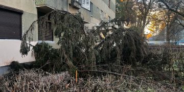 Ce a lăsat în urmă furtuna care s-a abătut în seara de joi asupra Maramureșului – foto