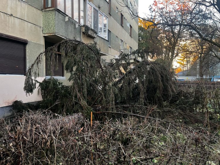 Ce a lăsat în urmă furtuna care s-a abătut în seara de joi asupra Maramureșului – foto