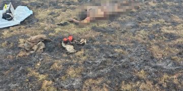 Incendiu violent de vegetație la Târgu Lăpuș. A fost găsit trupul carbonizat al unei femei