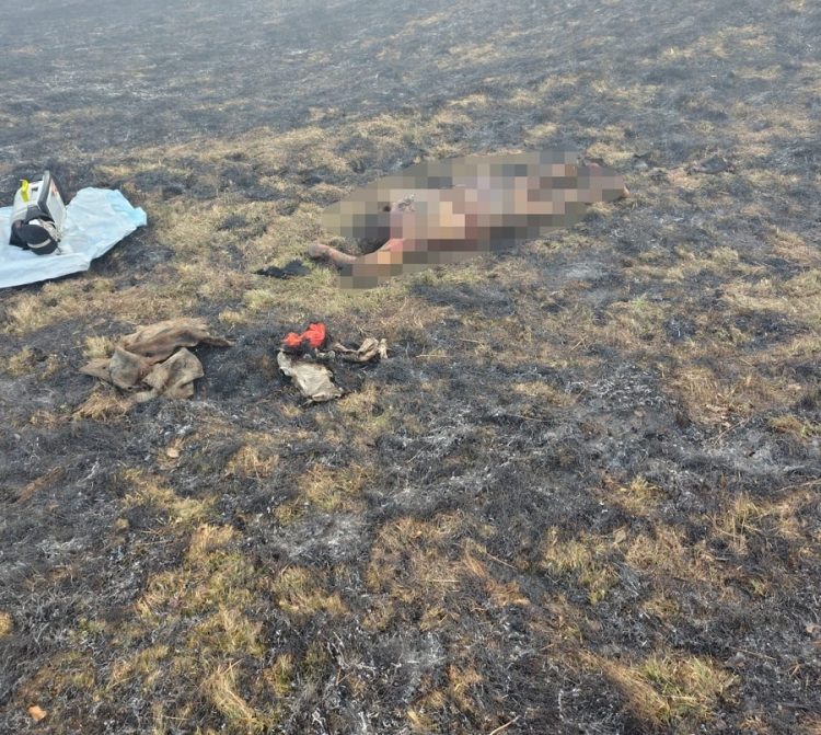 Incendiu violent de vegetație la Târgu Lăpuș. A fost găsit trupul carbonizat al unei femei