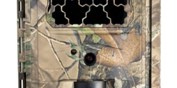 Cameră de supraveghere a faunei „dispărută” în zona Pasului Rotunda. Apel către cei implicați: „Luați o ghindă, nu o cameră!”