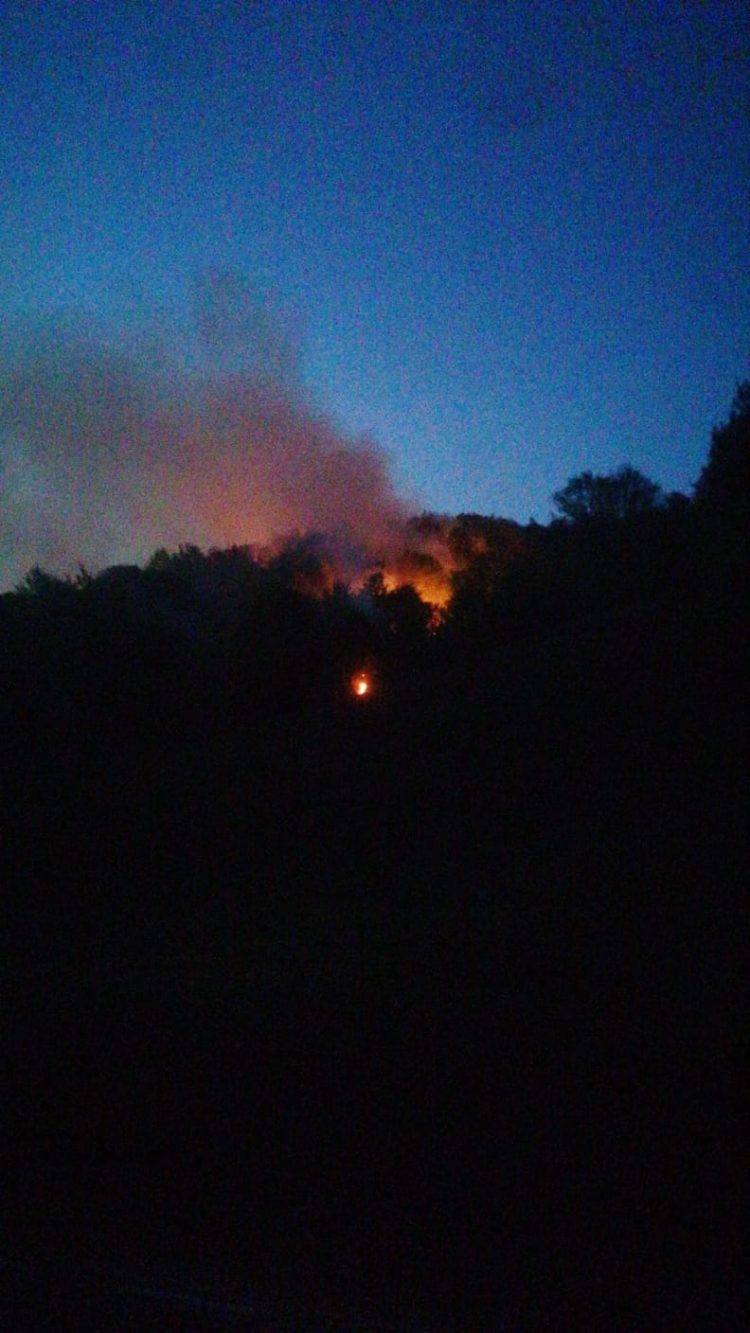 Incendiu de pădure între Suciu de Sus și Breaza. Flăcările s-au extins în cursul serii