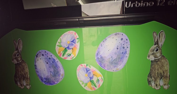 Autobuzul Iepurașului, pe străzile din Sighetu Marmației