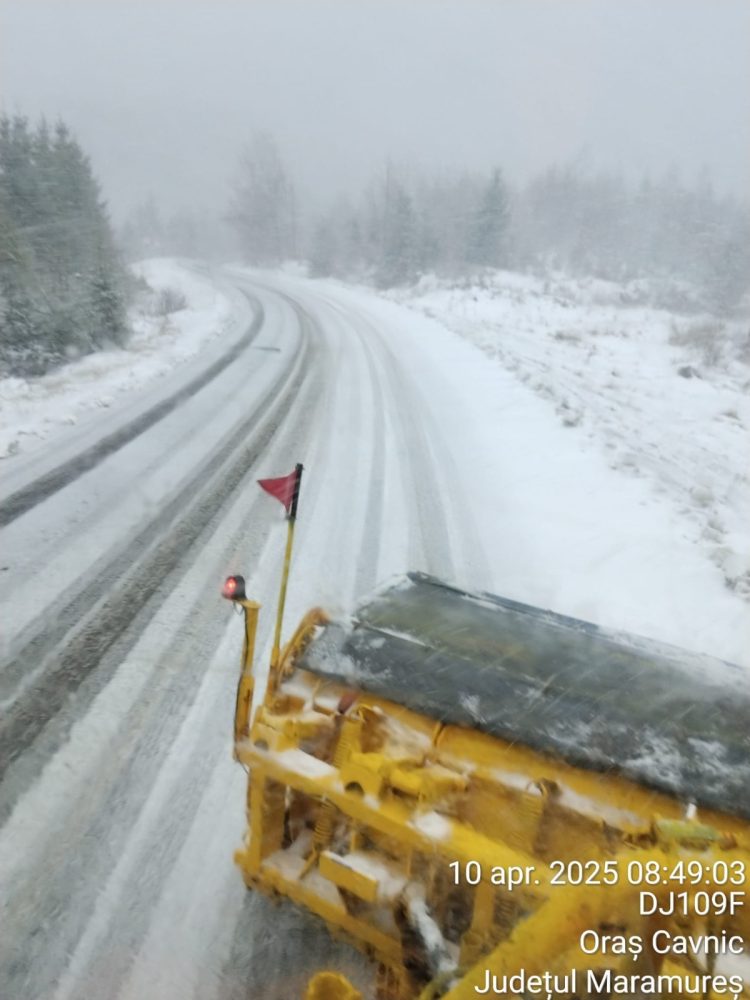 Ceață în Pasul Gutâi, viscol la munte. Șoferi, atenție cum circulați!