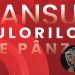 „Dansul culorilor pe pânză”, expoziție de pictură la Sighetu Marmației