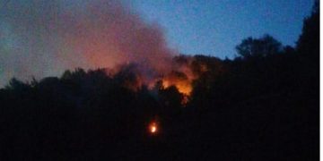 Circa 2 hectare de vegetație uscată au ars în în comuna Suciu de Sus