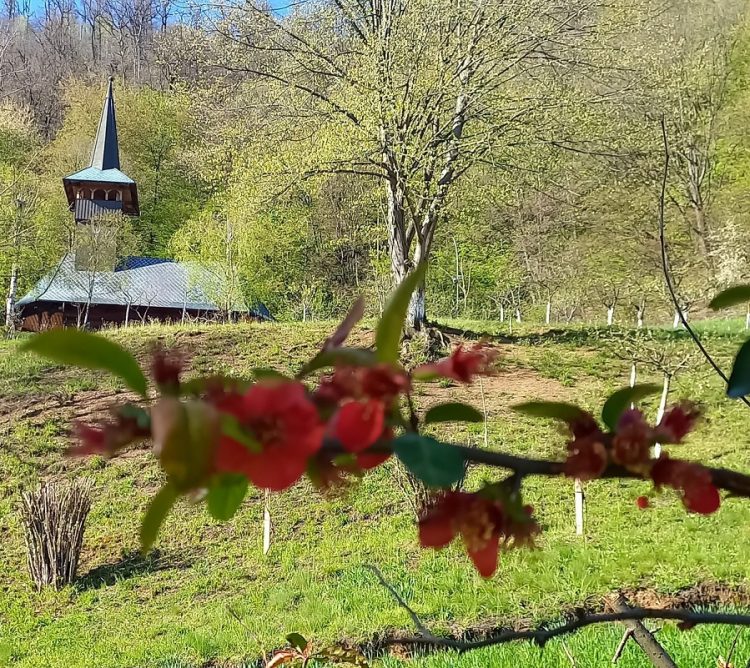 Programul de rugăciune din Săptămâna Mare la Mănăstirea Sfânta Maria de pe Dealul Crucii