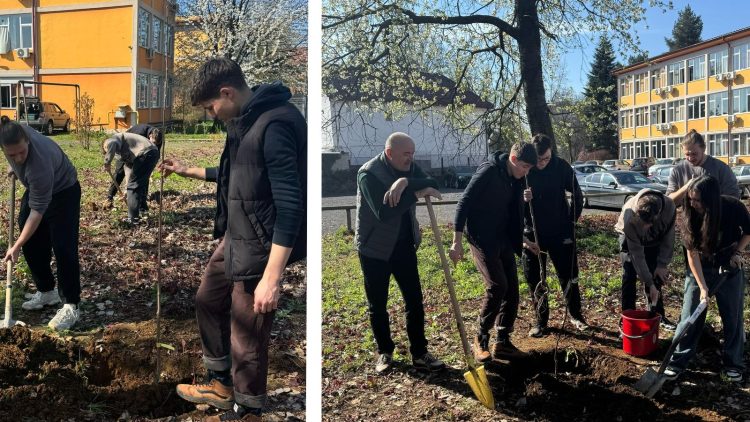 „Rădăcini pentru viitor” – Studenții de la Științele Comunicării au plantat pomi în grădina CUNBM