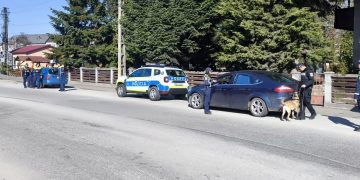 Târgu Lăpuș. Amplă acţiune, organizată de Florii, pentru siguranţa cetăţenilor