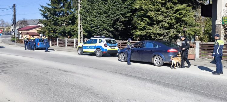 Târgu Lăpuș. Amplă acţiune, organizată de Florii, pentru siguranţa cetăţenilor