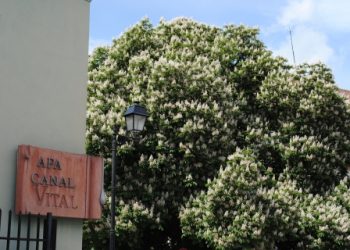 Program de funcționare VITAL SA în perioada 1-2 Mai 2025