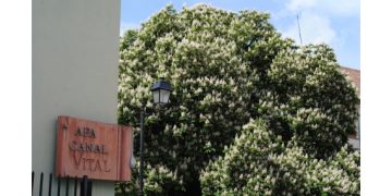 Program de funcționare VITAL SA în perioada 1-2 Mai 2025