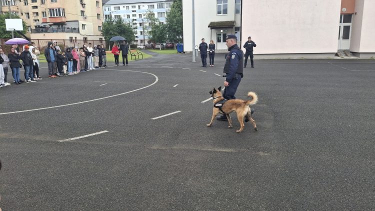 Câinele de serviciu Edam în vizită la elevii Școlii Gimnaziale ”Ion Luca Caragiale” din Baia Mare