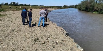 Lucrările de punere în siguranță a digului râului Lăpuș, în zona Bozânta Mică, au fost recepționate