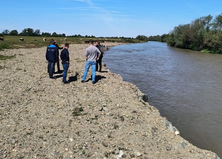 Lucrările de punere în siguranță a digului râului Lăpuș, în zona Bozânta Mică, au fost recepționate