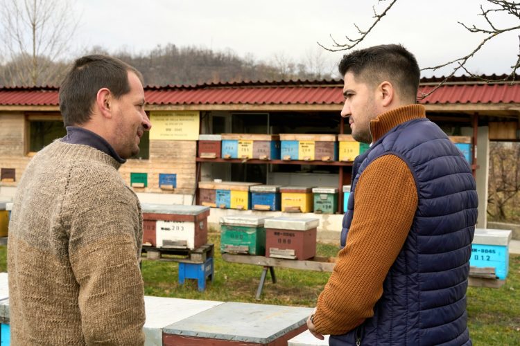 Demersurile deputatului Brian Cristian cu privire la derogările de pesticide interzise la nivel european, care pun în pericol albinele și sănătatea publică