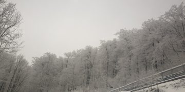 Informare meteo. Ploi torențiale, vânt, grindină și ninsoare la munte