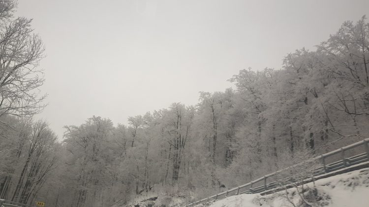 Informare meteo. Ploi torențiale, vânt, grindină și ninsoare la munte