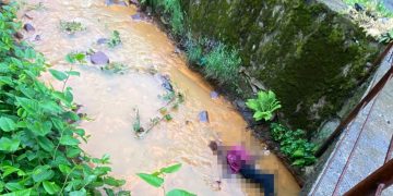 Bărbat de 67 de ani, găsit mort într-o vale din Handalul Ilbei