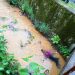 Bărbat de 67 de ani, găsit mort într-o vale din Handalul Ilbei