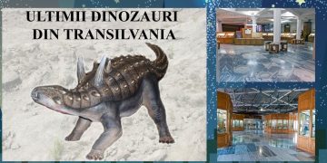 Programul Muzeului de Mineralogie în Noaptea Muzeelor