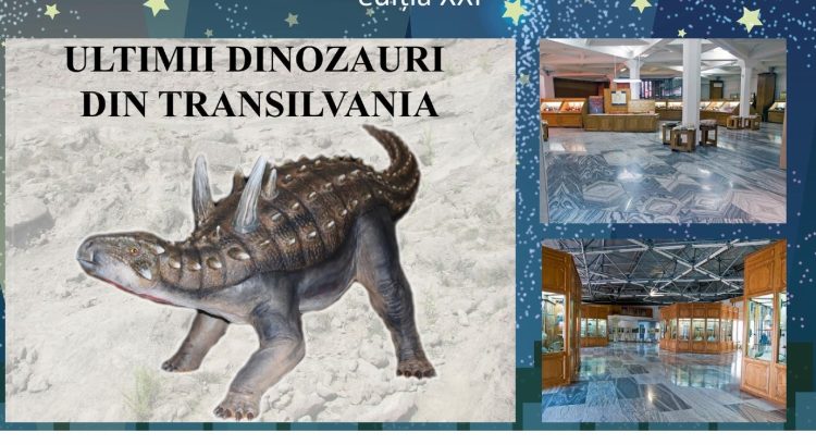 Programul Muzeului de Mineralogie în Noaptea Muzeelor