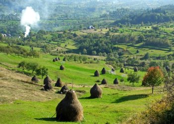 Maramureșul strălucește în Programul „Tezaure Umane Vii” 2025: Trei păstrători ai tradițiilor recunoscuți la nivel național