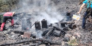 Incendiu izbucnit în Munții Gutâi, izolat de jandarmii montani