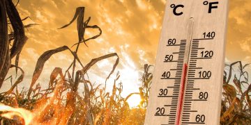 Prognoza pentru iulie: căldură infernală și secetă majoră în mare parte din țară