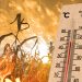 Prognoza pentru iulie: căldură infernală și secetă majoră în mare parte din țară